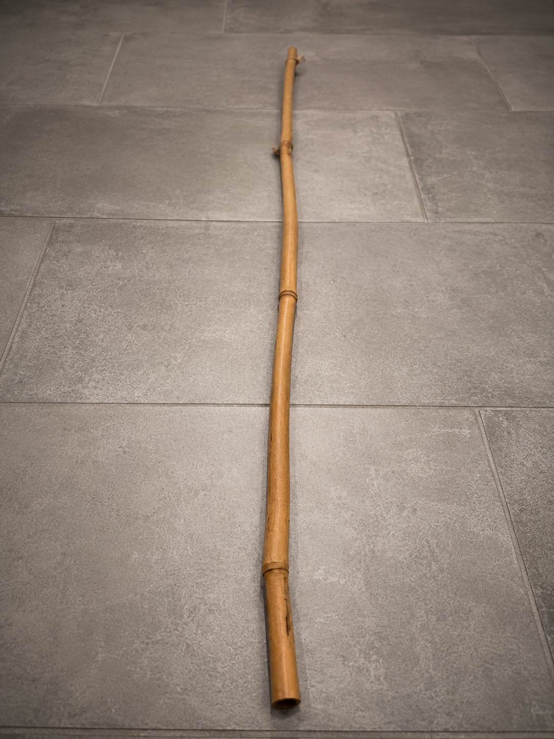 SHIBARI BAMBOO STICK — B-KEUZE